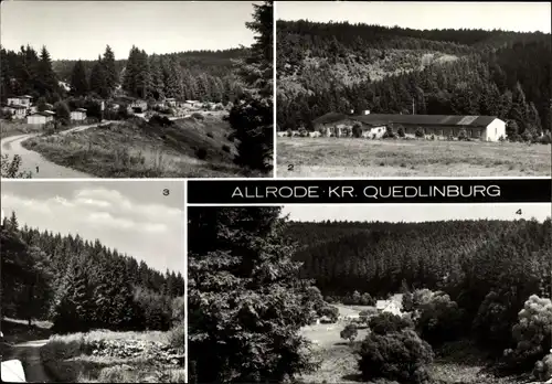 Ak Allrode Thale im Harz, Bungalow-Siedlung, Ferienheim Hermann Duncker, Luppbodetal