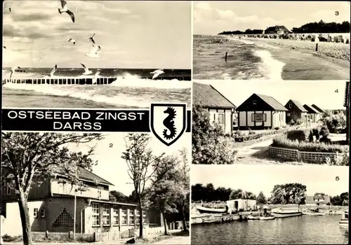 Ak Ostseebad Zingst, Gaststätte Zum Heidelberger Faß, Dünenhaus, Wochenendsiedlung West