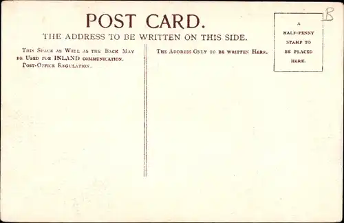 Ak Channel Island-Trikot