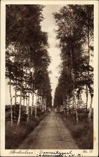 Ak Ossendrecht Woensdrecht Nordbrabant Niederlande, Dennenheuvel, Berkenlaan