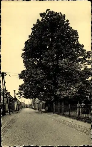 Ak Meerle Hoogstraten Hoogstraeten Flandern Antwerpen, 's Lindeboom