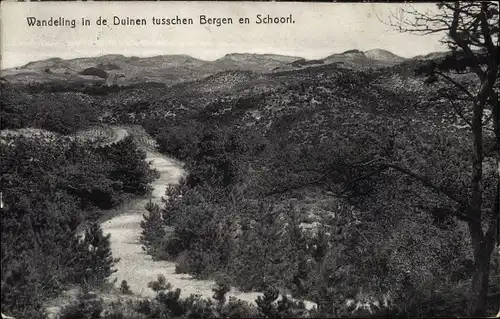 Ak Schoorl Nordholland Niederlande, Wandeling in de Duinen tusschen Bergen