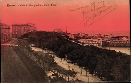 Ak Livorno Toscana, Viale Regina Margherita