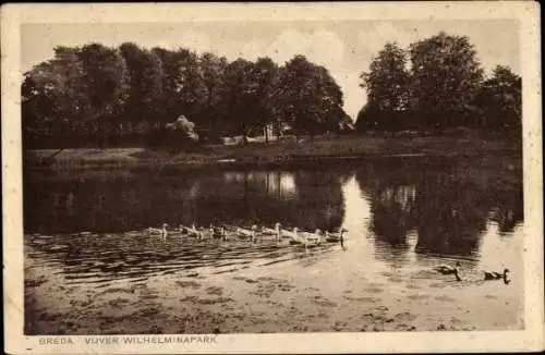 Ak Breda Nordbrabant Niederlande, Vijver Wilhelminapark