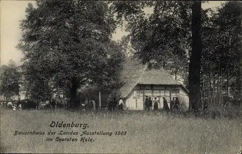 Ak Oldenburg im Großherzogtum Oldenburg, Bauernhaus d. Landesausstellung 1905