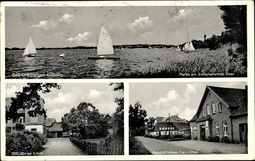 Ak Dreibergen Bad Zwischenahn in Oldenburg, Geschäft Carl Otten, Linde, Segelboote