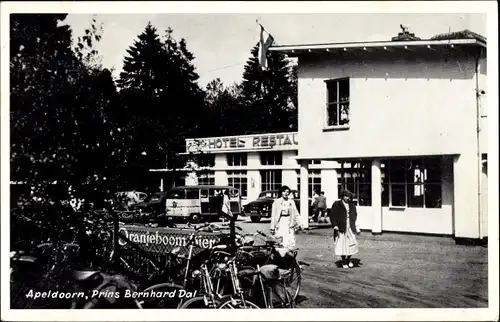 Ak Apeldoorn Gelderland, Hotel Restaurant Prins Bernhard Dal