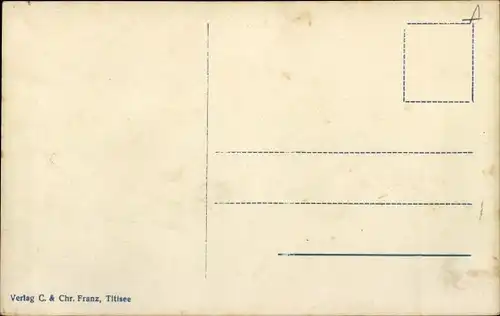 Ak Hinterzarten im Schwarzwald, Panorama vom Scheibenfelsen aus