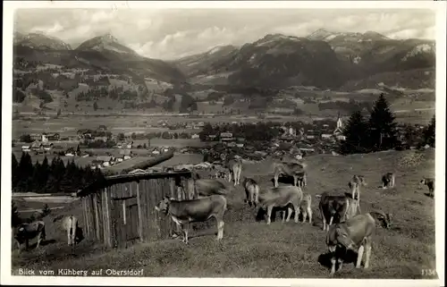 Ak Oberstdorf im Oberallgäu, Blick vom Kühberg, grasende Kühe