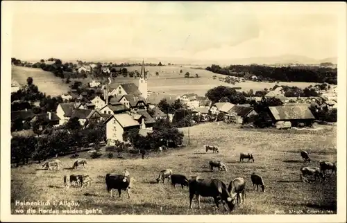 Ak Heimenkirch im Allgäu, Panorama, weidende Kuhherde