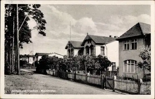 Ak Ostseebad Zempin auf Usedom, Waldstraße
