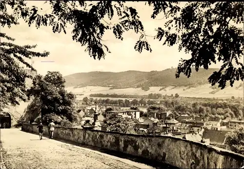 Ak Rudolstadt in Thüringen, Blick vom Schlossaufgang