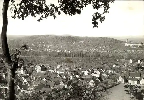 Ak Rudolstadt in Thüringen, Gesamtansicht