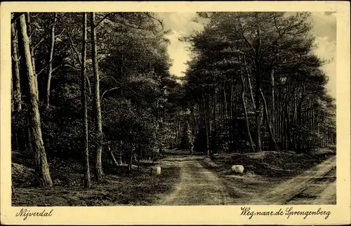 Ak Nijverdal Overijssel Niederlande, Weg naar de Sprengenberg