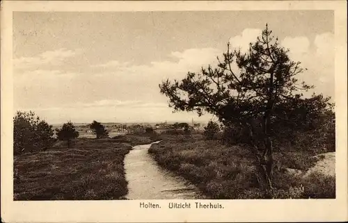 Ak Holten Overijssel Niederlande, Uitzicht Theehuis