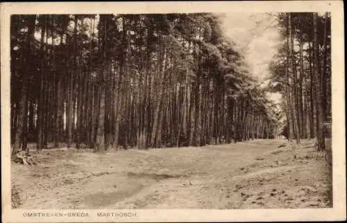 Ak Breda Nordbrabant Niederlande, Omstreken, Mastbosch