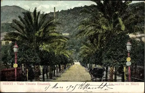 Ak Nervi Genova Genua Ligurien, Viale Vittorio Emanuele