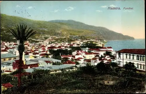 Ak Funchal Madeira Portugal, Panoramablick auf den Ort, Looking East