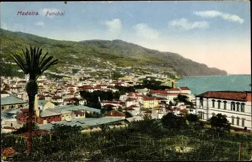 Ak Funchal Insel Madeira Portugal, Vogelschau auf den Ort