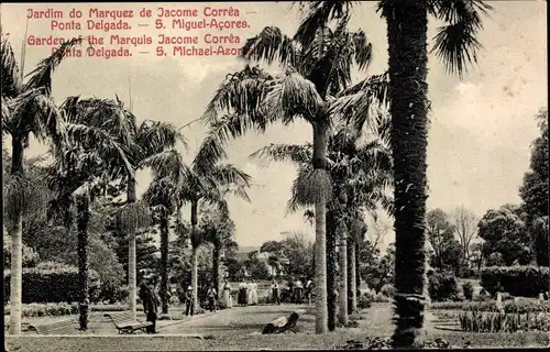 Ak S. Miguel Azoren Portugal, Jardim do Marquez de Jacome