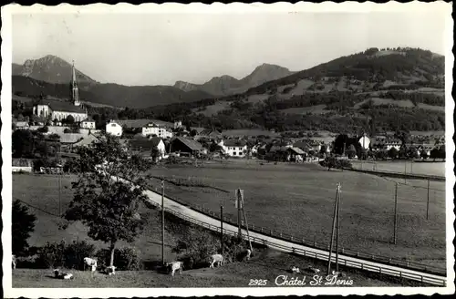 Ak Châtel Saint Denis Freiburg Kanton, Panorama