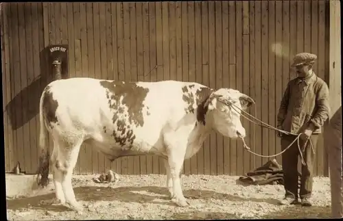 Foto Ak Mann mit Stier, Concours Agricole