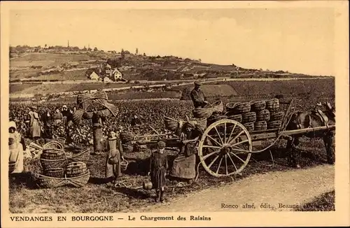 Ak Ernte in Burgund, Laden der Trauben