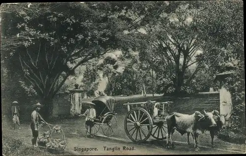 Ak Singapur, Tanglin Road, Rikscha, Rinderfuhrwerk