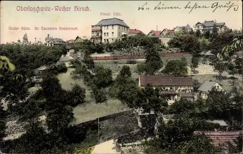 Ak Dresden Loschwitz Oberloschwitz Weißer Hirsch, Prinzl. Villa, Weißer Adler, Sanatorium Teuscher