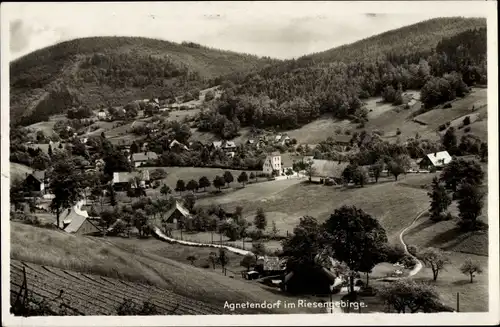 Ak Jagniątków Agnetendorf Jelenia Góra Hirschberg Riesengebirge Schlesien, Panorama