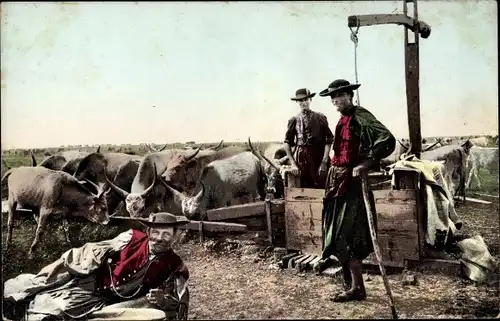 Ak Ungarn, Hirten mit Rinderherde, Brunnen