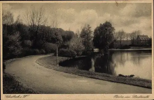 Ak Gladbeck im Ruhrgebiet Westfalen, Im Stadtwald