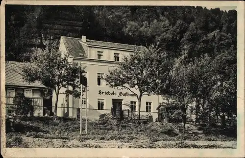 Ak Postelwitz Bad Schandau, Blick auf Friebels Gasthaus