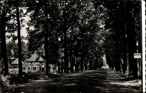 Ak Ruurlo Gelderland, Laan, Allee