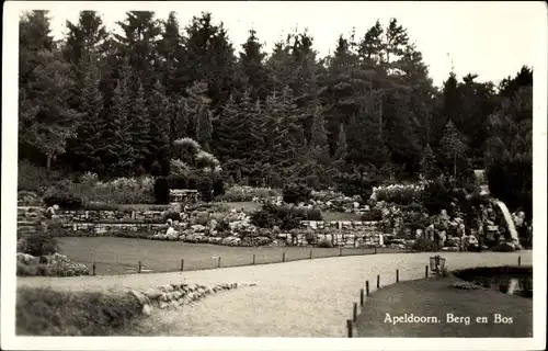 Ak Apeldoorn Gelderland, Berg en Bos, Parkanlage