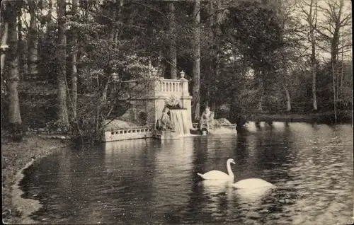 Ak Apeldoorn Gelderland, Paleis Het Loo, Waterval Koninklijk Park, Schwäne