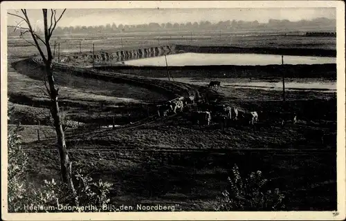 Ak Heelsum Gelderland Niederlande, Doorwerth, Bij den Noordberg