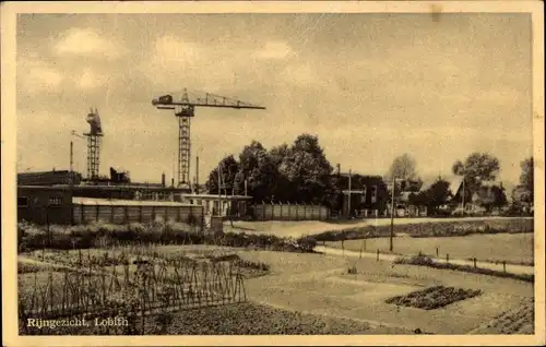 Ak Lobith Rijnwaarden Gelderland, Rijngezicht