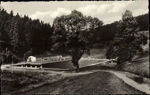 Ak Lauscha in Thüringen, Waldbad im Steinachgrund