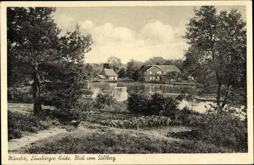 Ak Munster an der Örtze Lüneburger Heide, Blick vom Süllberg