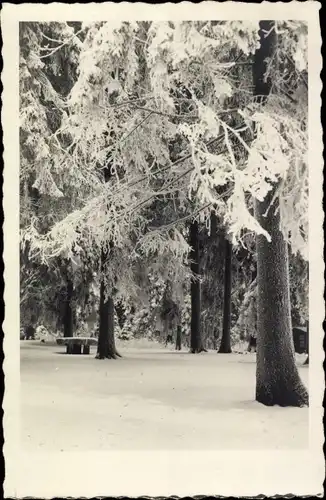 Foto Ak Elbingerode Oberharz am Brocken, Neuvandsburg, Wald, Winter