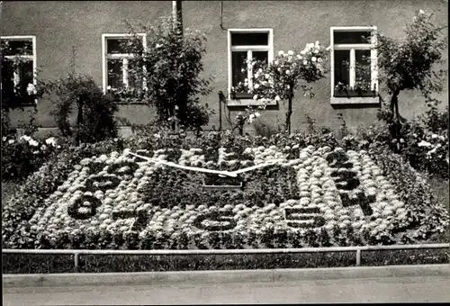 Ak Greiz im Vogtland, Blumenuhr im Leninpark