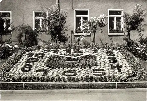 Ak Greiz im Vogtland, Blumenuhr im Leninpark