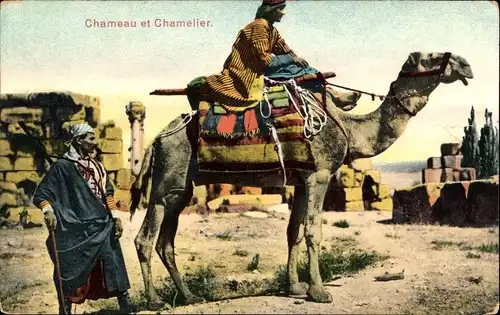Ak Kamel, Kamel und Kameltreiber, bunte Sitzdecken
