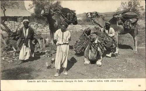 Ak Kamele mit Holz, Transport, Dorfpartie, Dorfbewohner