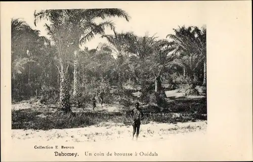 Ak Ouidah Dahomey Benin, Eine Münzmünze