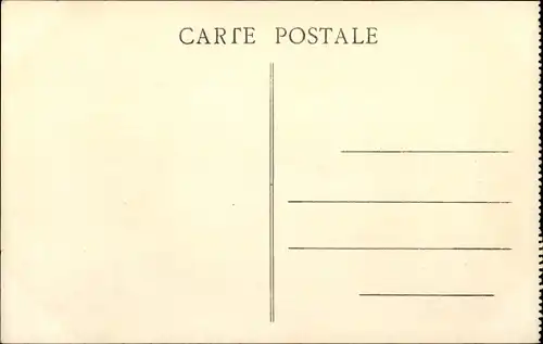 Ak Dschibuti, Kamele