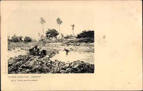 Ak Conakry Konakry Guinea, Schalentierfischen