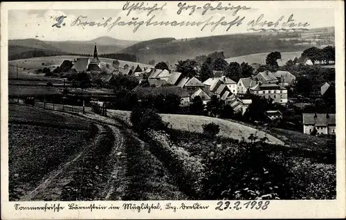Ak Bärenstein Altenberg Erzgebirge, Müglitztal, Panorama