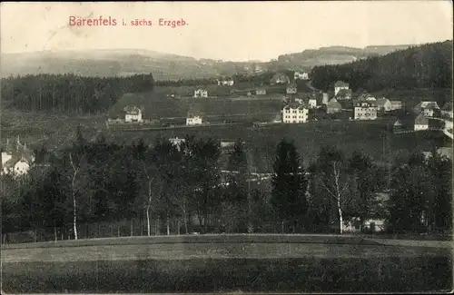 Ak Bärenfels Altenberg im Erzgebirge, Panorama